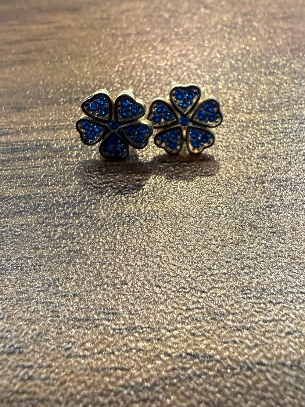 *NEW*Freida Rothman* Vault item* Earrings